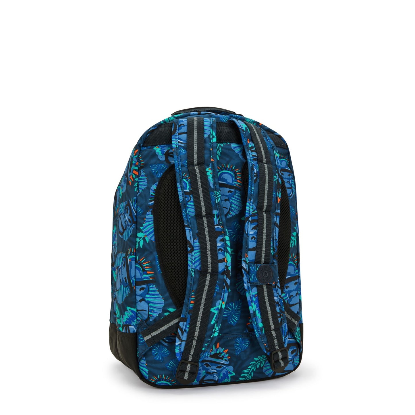 CLASS ROOM Blue Monkey Fun $399 x12msi*