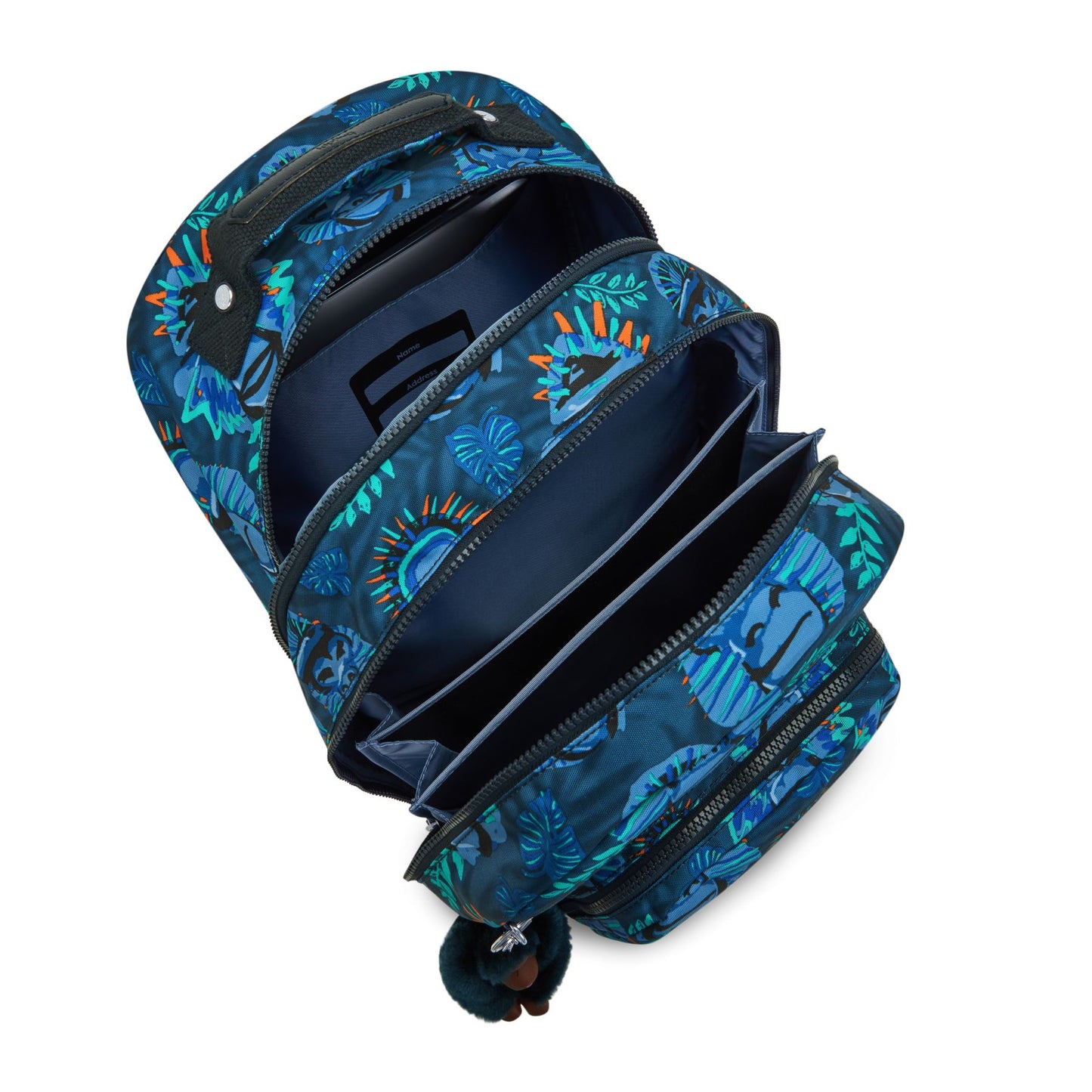 CLASS ROOM Blue Monkey Fun $399 x12msi*