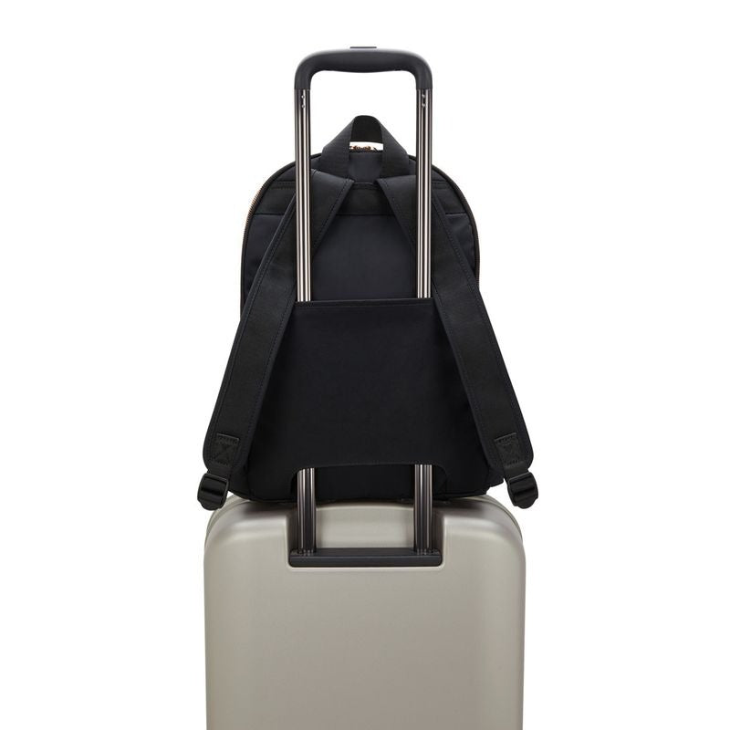 DELIA M Blck Rose Spice