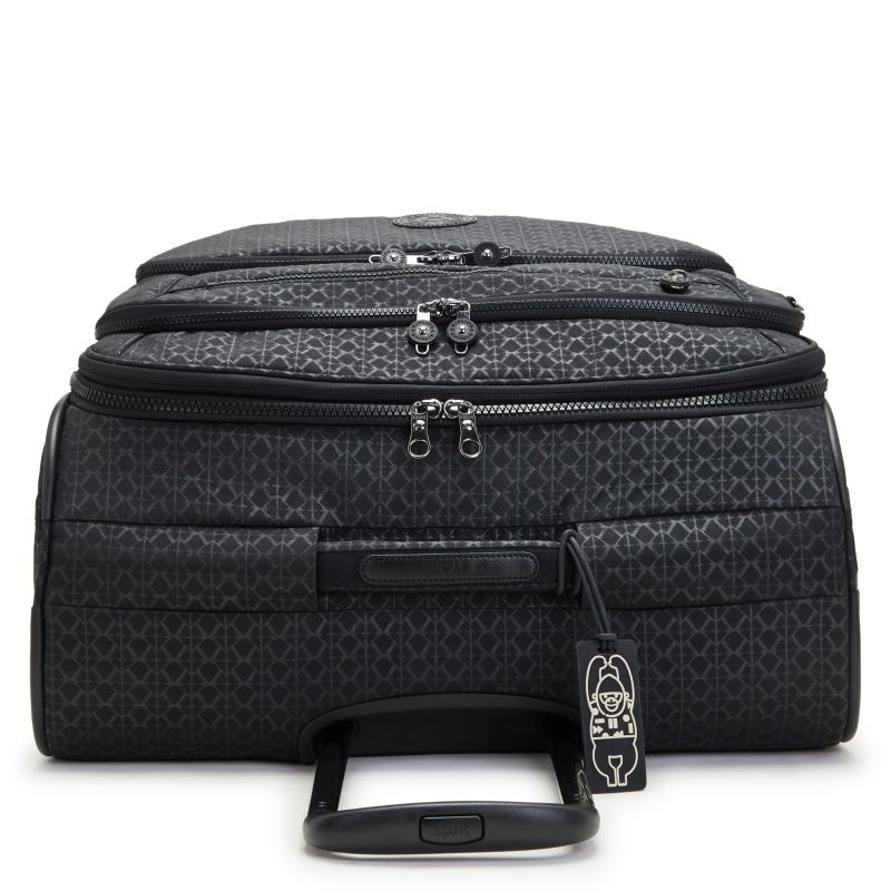 NEW YOURI SPIN L Signature Emb $821 x12msi*