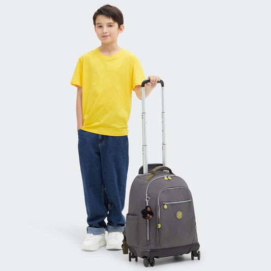 NEW ZEA Back to Grey 15% + 6MSI = $1,077msi*