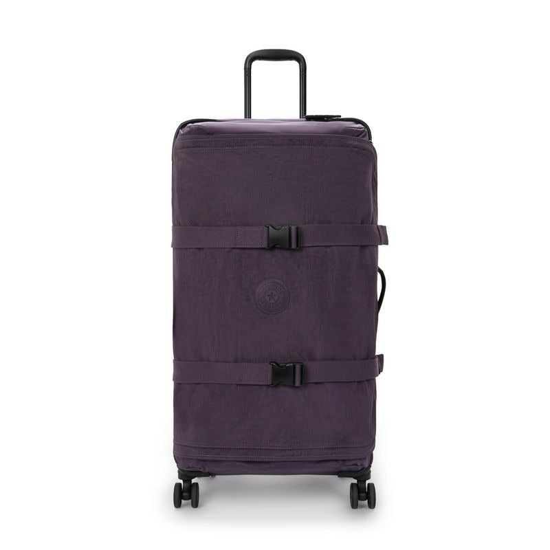 SPONTANEOUS L Ultimate Plum $792 x12msi*