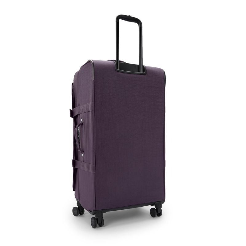 SPONTANEOUS L Ultimate Plum $792 x12msi*