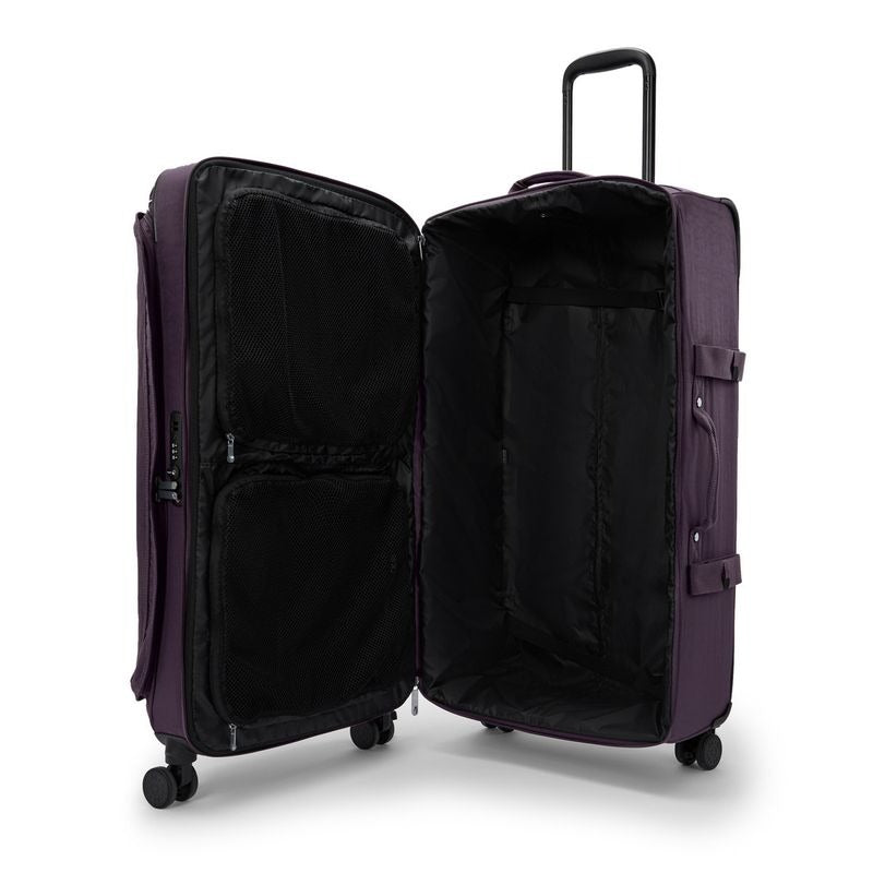 SPONTANEOUS L Ultimate Plum $792 x12msi*