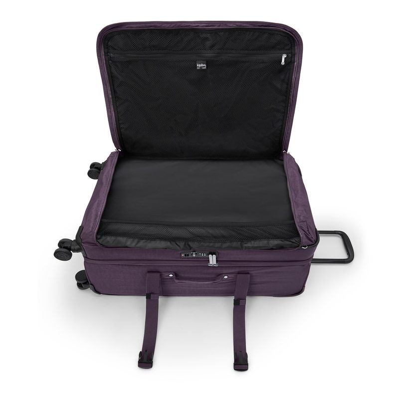 SPONTANEOUS L Ultimate Plum $792 x12msi*
