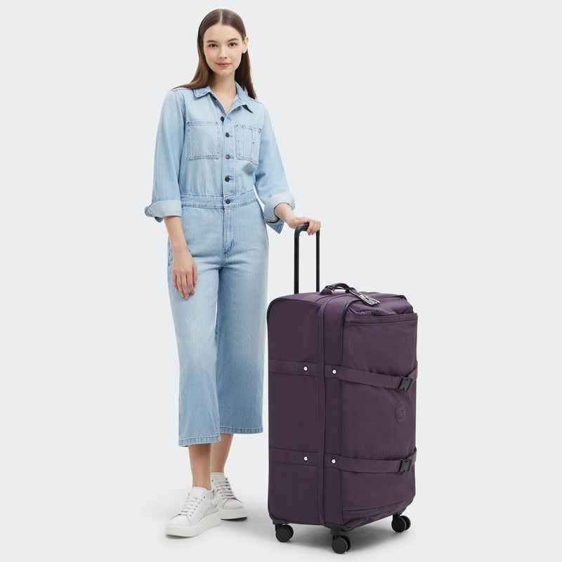 SPONTANEOUS L Ultimate Plum $792 x12msi*