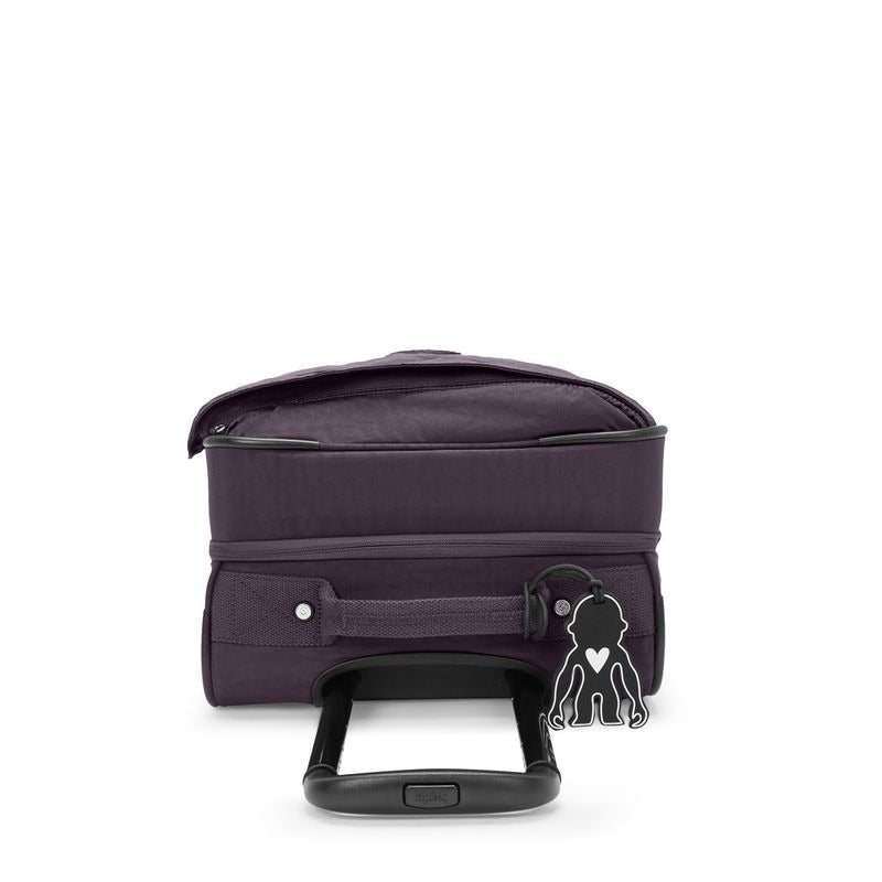SPONTANEOUS S Ultimate Plum $817 x6msi*