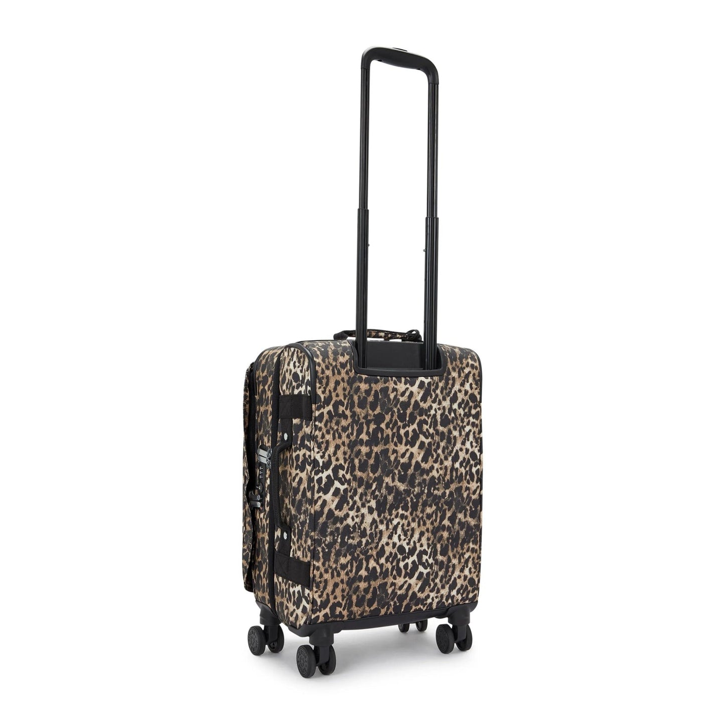 SPONTANEOUS S Wild Leopard