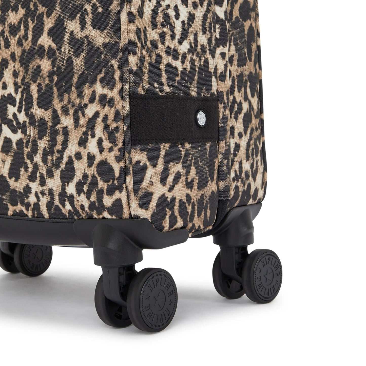 SPONTANEOUS S Wild Leopard