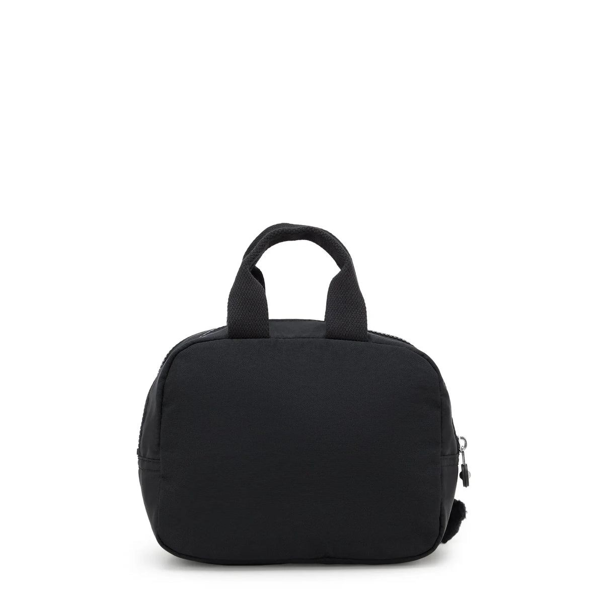 BEACHPALM S Black Noir