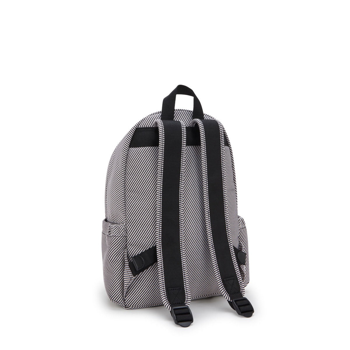 DELIA Diagonal Jq $733 mensuales a 6msi*