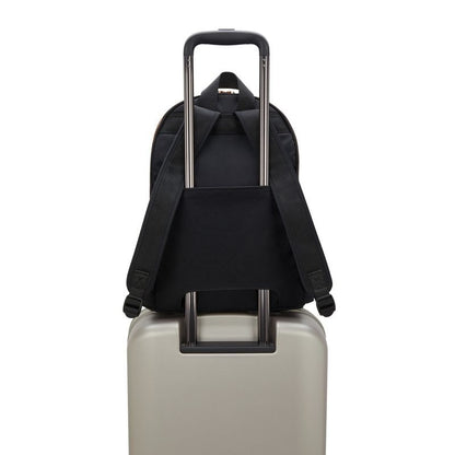 DELIA M Blck Rose Spice $1,650 mensuales a 3 MSI*