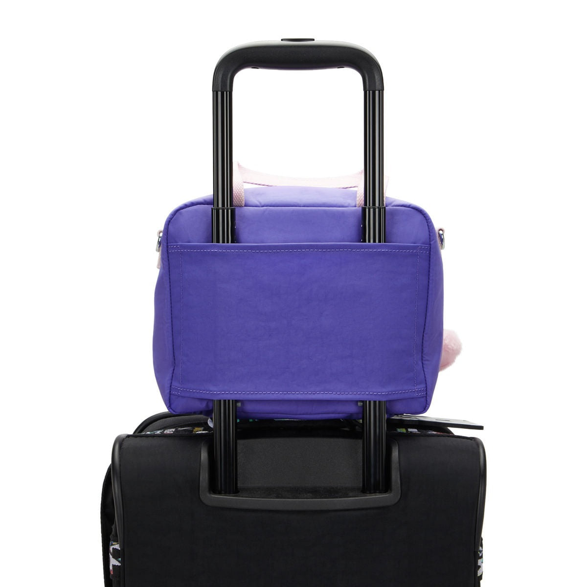 MIYO Iris Purple C